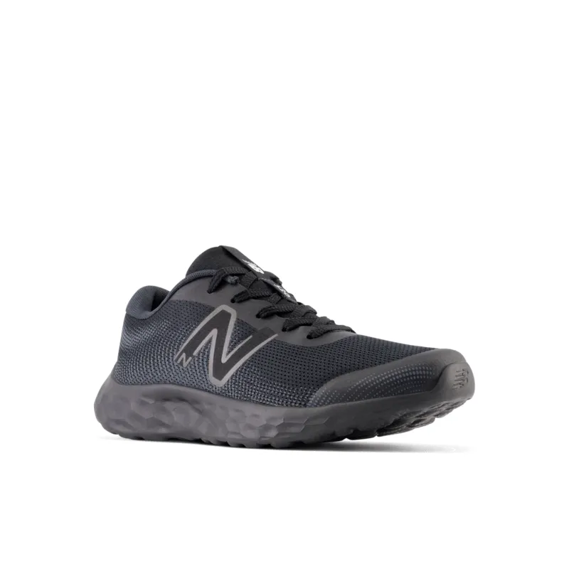 New Balance Youth 520 V8 Running Shoe - GP520BB8