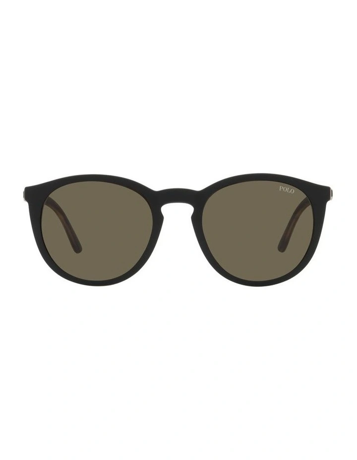 PH4183U Tortoise Sunglasses