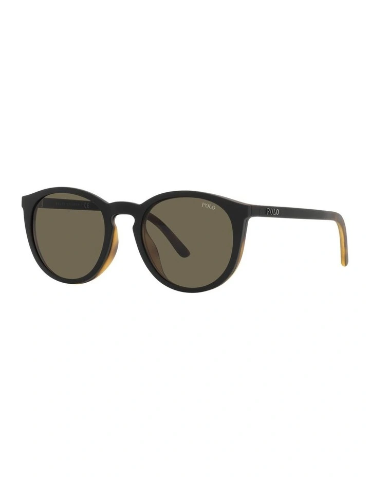 PH4183U Tortoise Sunglasses