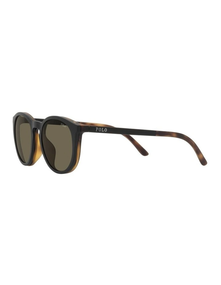 PH4183U Tortoise Sunglasses