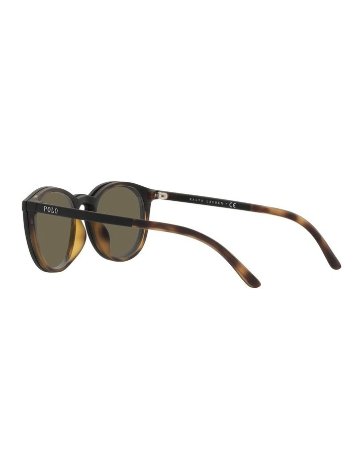 PH4183U Tortoise Sunglasses