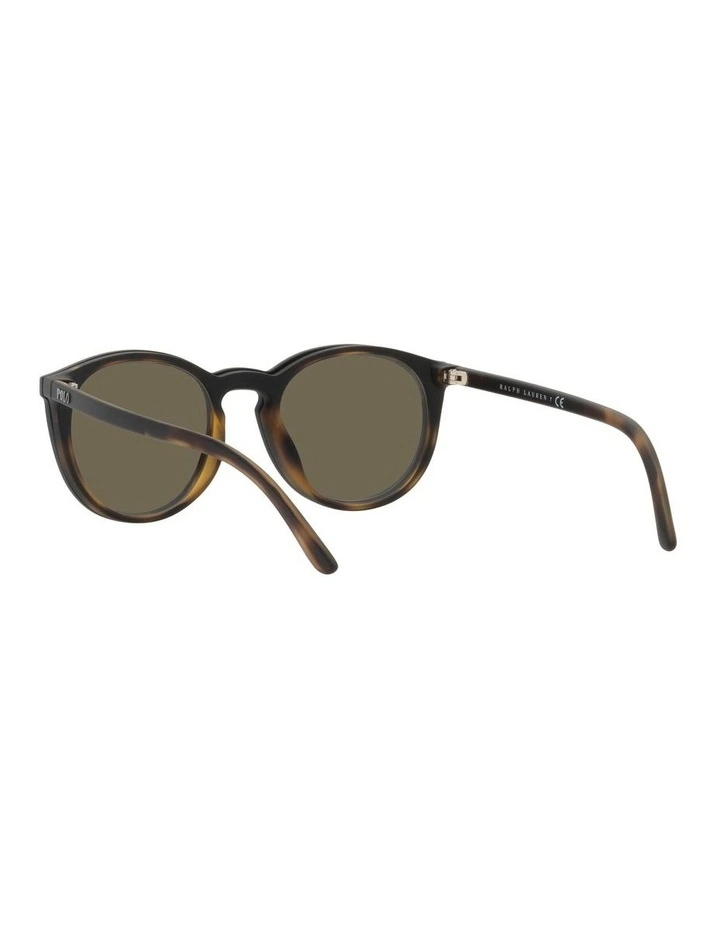 PH4183U Tortoise Sunglasses