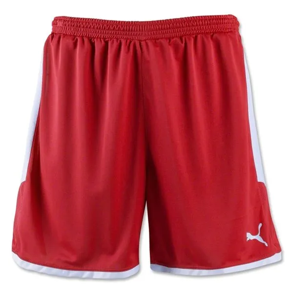 PUMA Youth Borussia Short