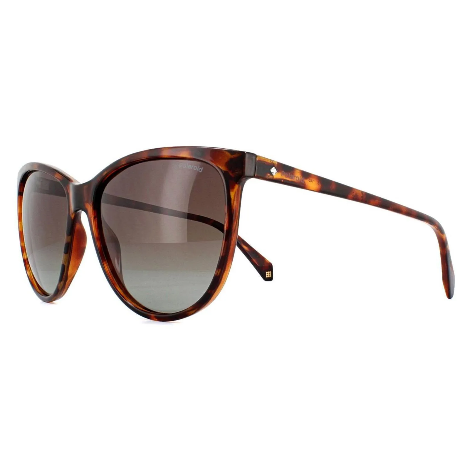 Sunglasses | Square Dark Havana Brown Polarized Sunglasses | Polaroid