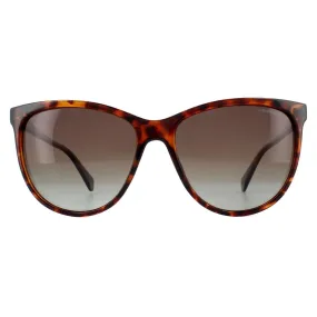 Sunglasses | Square Dark Havana Brown Polarized Sunglasses | Polaroid