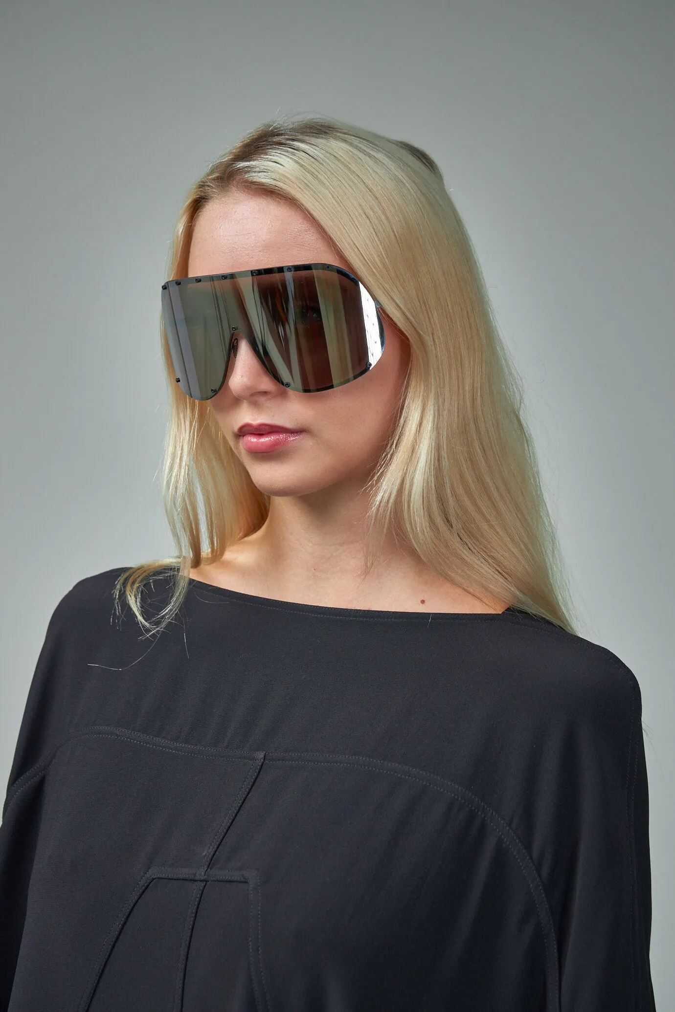 Sunglasses Shield