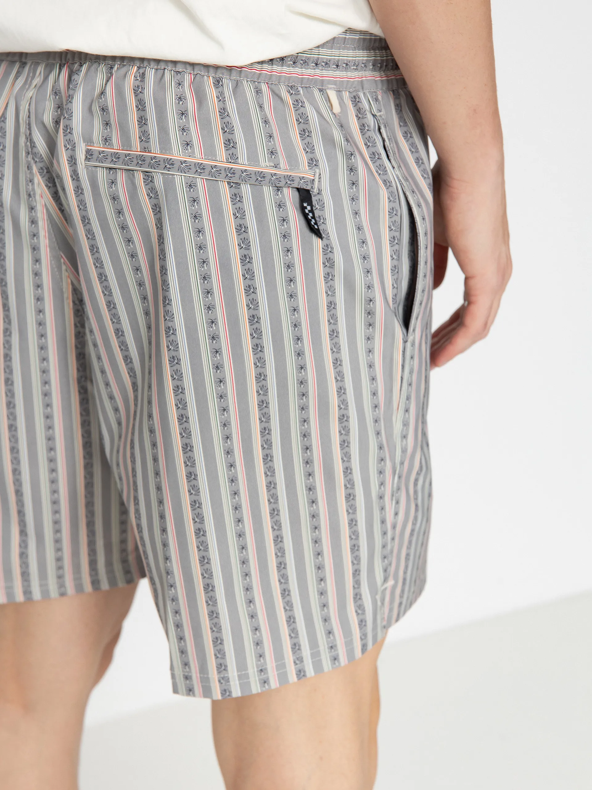 Vans Primary Stripe Elastic Boardshorts (oatmeal/black)