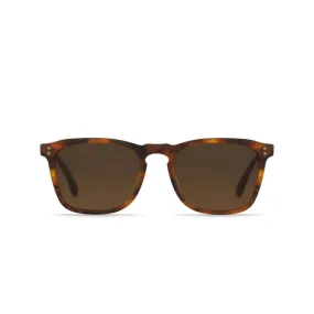 Wiley Sunglasses (Matte Rootbeer)